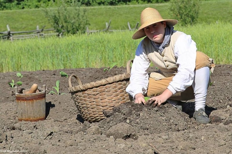 A photo of a younger farmer with their hands in soil. They have a basket and pail beside them.