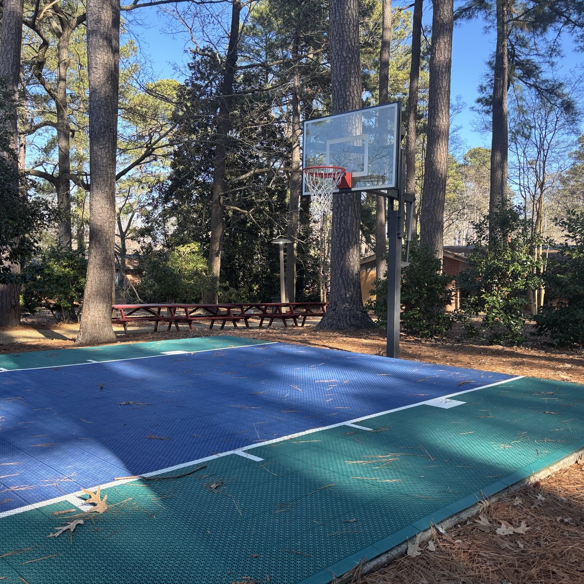 Basketball Hoop at The Woodlands