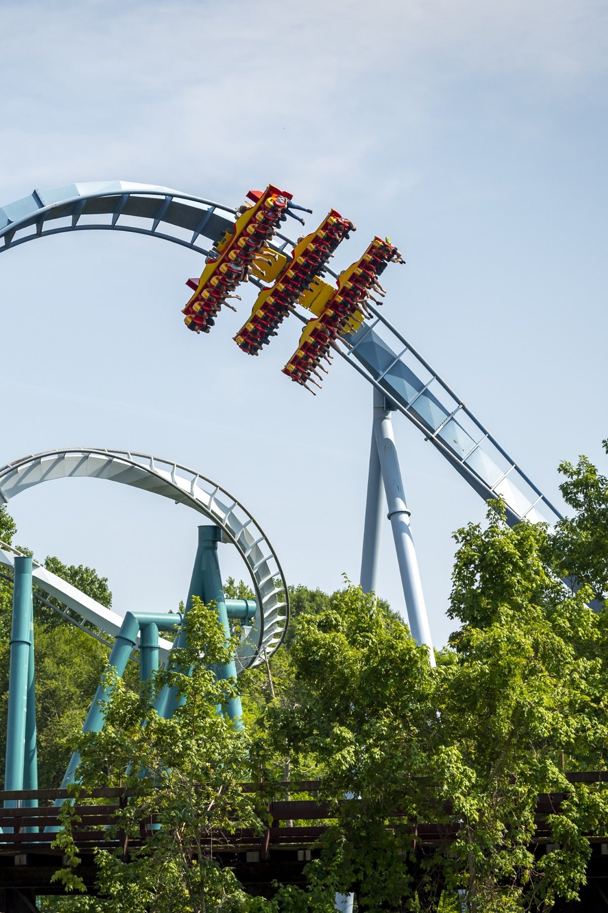 Busch Gardens Griffon