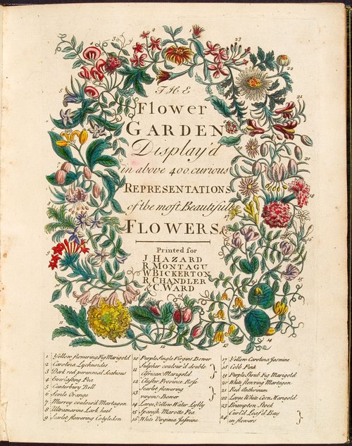 Furber&#x27;s Flowers_10