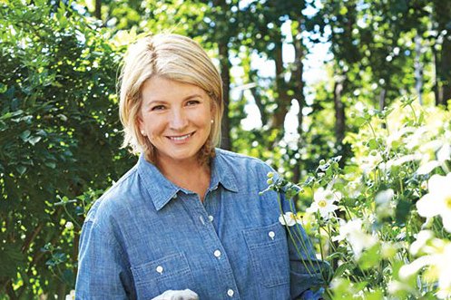 martha-stewart-spring-2016-trend-and-tradition