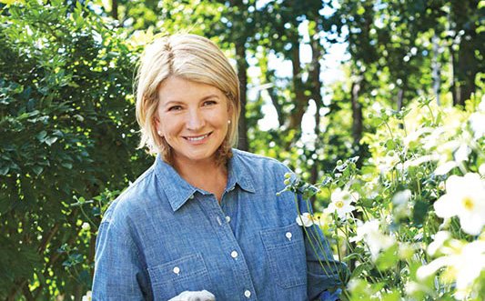 martha-stewart-spring-2016-trend-and-tradition