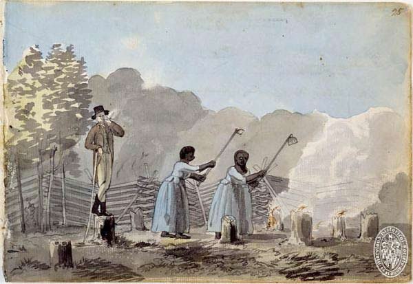 A painting depicting two enslaved women workers plowing a field, being watched by a white overseer/enslaver.