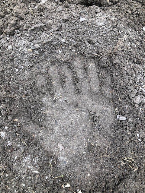 A photo of a handprint in dirt.