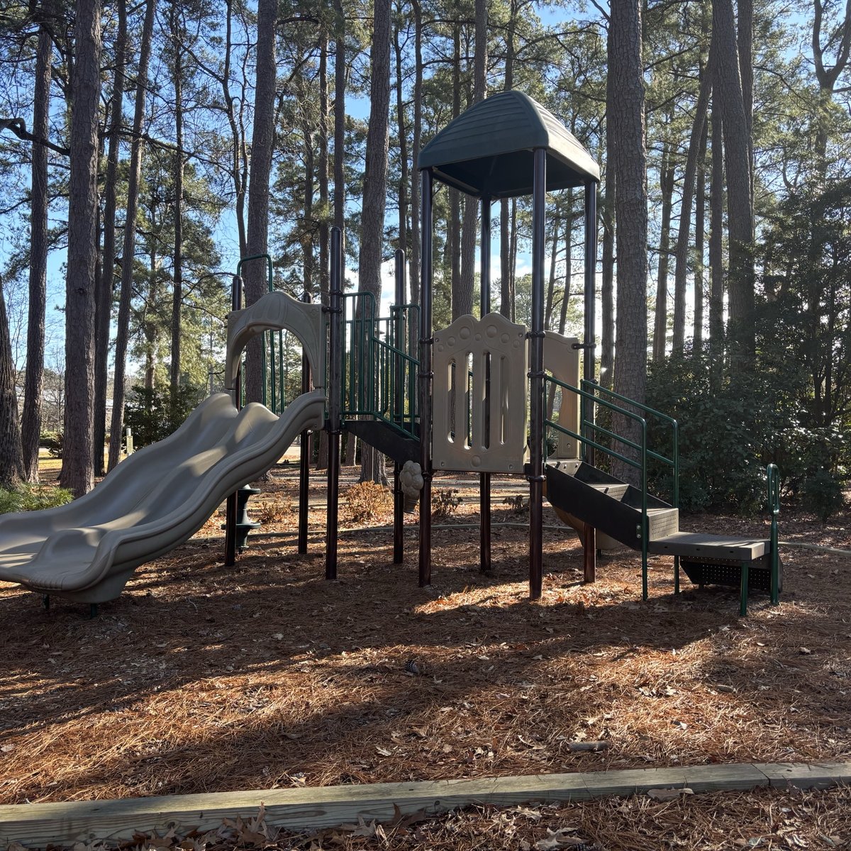 Playground at the Woodlands Hotel