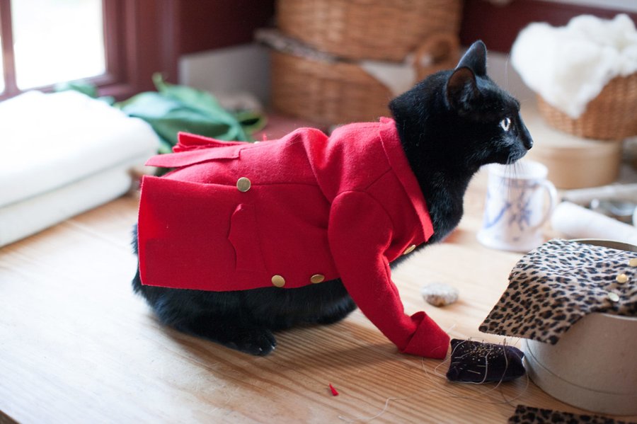 A phot of a black cat dressed in a red overcoat.