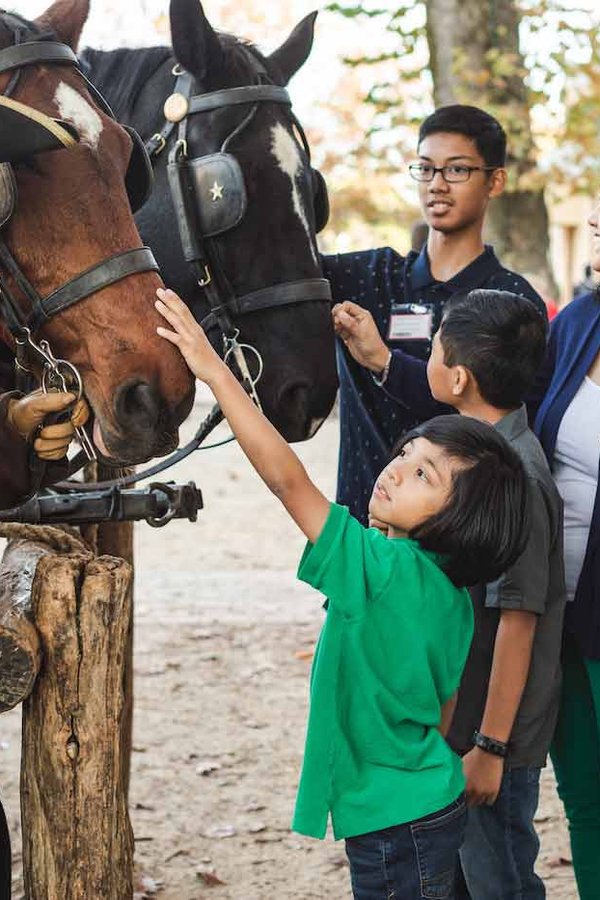 fall-family-with-horses